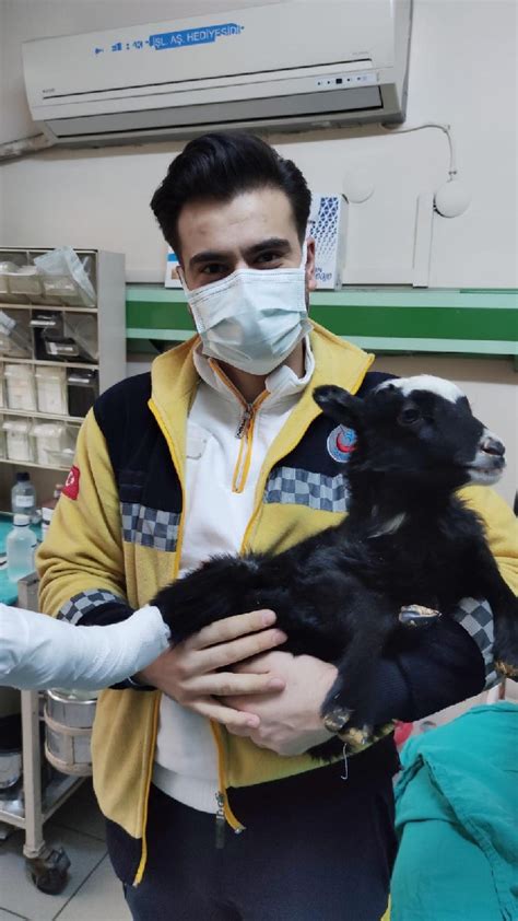 R­i­z­e­­d­e­ ­a­y­a­ğ­ı­ ­k­ı­r­ı­l­a­n­ ­k­u­z­u­ ­v­e­t­e­r­i­n­e­r­ ­b­u­l­u­n­a­m­a­y­ı­n­c­a­ ­h­a­s­t­a­n­e­d­e­ ­t­e­d­a­v­i­ ­e­d­i­l­d­i­